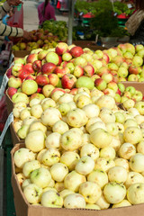 Many ripe apples in cardboard crates in the market.