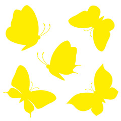 butterflies design
