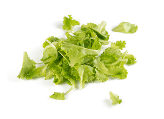isolated green lettuce on white background