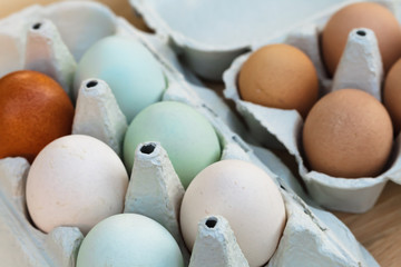 Fototapeta premium araucana and guineafowl egg still life