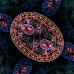Bacteria under examination