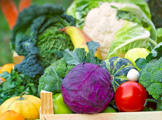 Fresh organic vegetables (close-up)