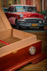cigars and humidor