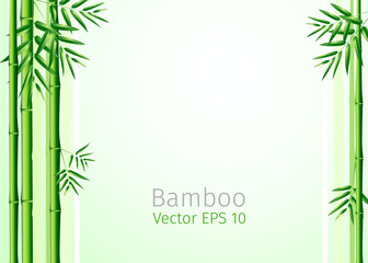 vector illustration  bunch of bamboo leaves background