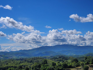 Fototapeta na wymiar Landscape view of green forest under cloudy blue sky
