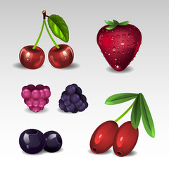 Berries