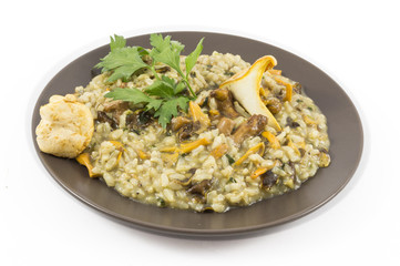 Risotto with mushrooms