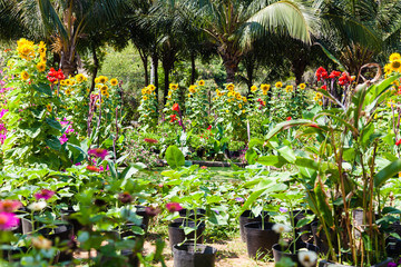 Fototapeta premium Beautiful garden