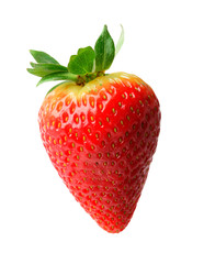 Fresh strawberry with stem.