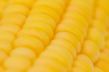 Corn abstract