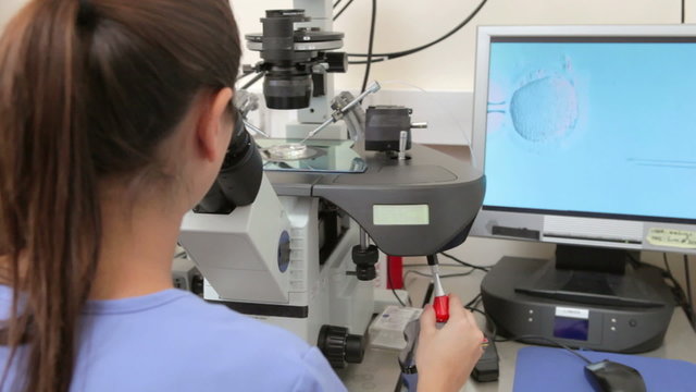 Laboratory Fertilization Of Eggs In IVF Treatment
