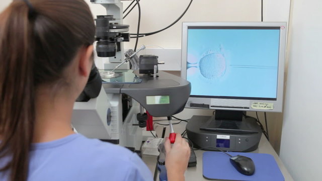 Laboratory Fertilization Of Eggs In IVF Treatment