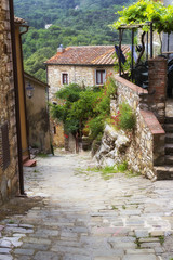 Sassetta, Tuscany. Color image