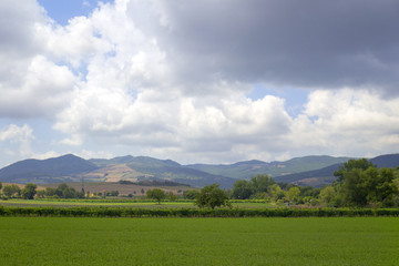 Val di Cornia panorama-Tuscany. Color image