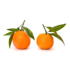 Tangerines