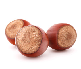 hazelnut or filbert nut isolated on white background cutout
