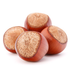 hazelnut or filbert nut isolated on white background cutout