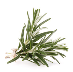 Fototapeta premium rosemary herb spice leaves isolated on white background cutout