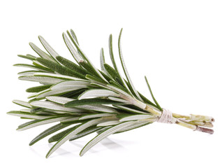 Fototapeta premium rosemary herb spice leaves isolated on white background cutout
