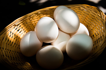 egg in the basket