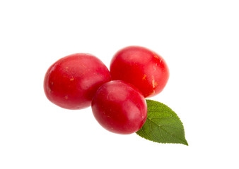 Damson plum