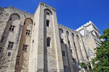 Avignone, Palazzo dei Papi