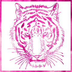 head of tiger is in a watercolor artwork in pink color, portrait
