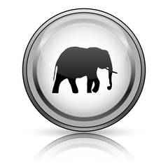 Elephant icon
