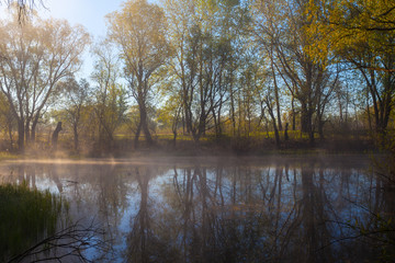 serene misty morning on a lakeside © Dmytro Kosmenko