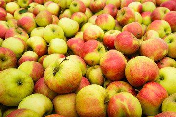 Fototapeta na wymiar Heap of apples from close