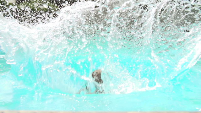Slow Motion Sequence Of Boy Jumping Into Swimming Pool