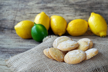 Homemade lemon cookies with powdered sugar
