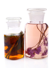 Bottle of herbal tincture on white background isolated