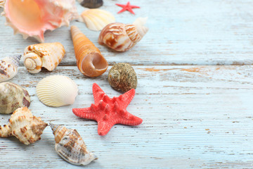 Seashells on wooden table, close-up