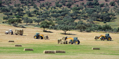 four tractors (panoramic view)