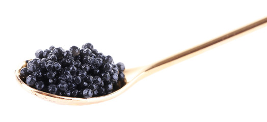 Black caviar in spoon isolated on white - obrazy, fototapety, plakaty