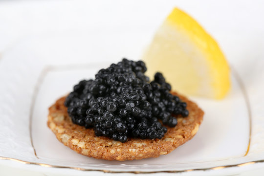 Black caviar on crispy bread on plate closeup