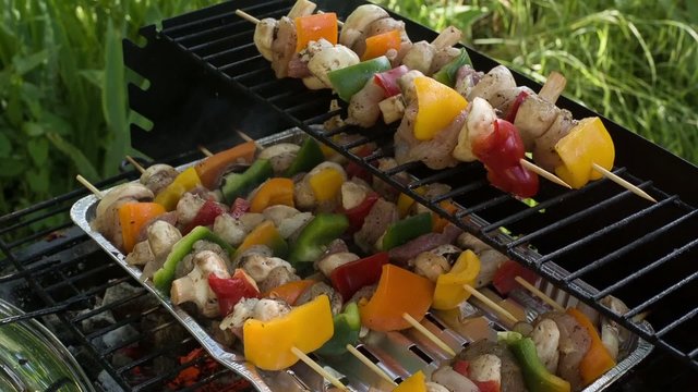 Tasty skewers on garden grill, close-up.