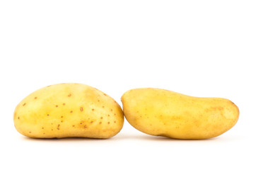 Potato