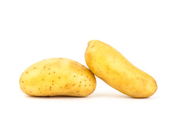 Potato