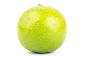 Lime