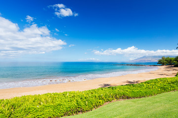 Tropical Beach