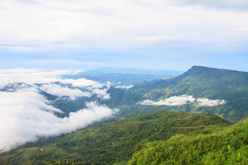 sea of fog with forests as foreground