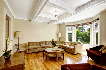 Living room with coffered ceiling system
