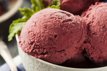 Homemade Organic Berry Sorbet Ice Cream