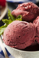 Homemade Organic Berry Sorbet Ice Cream