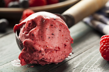 Homemade Organic Berry Sorbet Ice Cream - obrazy, fototapety, plakaty