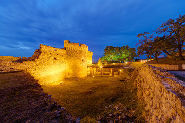 Fototapeta premium Belgrade fortress and Kalemegdan park