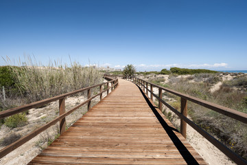 Fototapeta na wymiar Wooden walkway over dunes