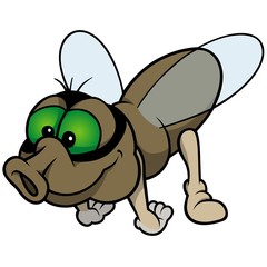 Flying Fly